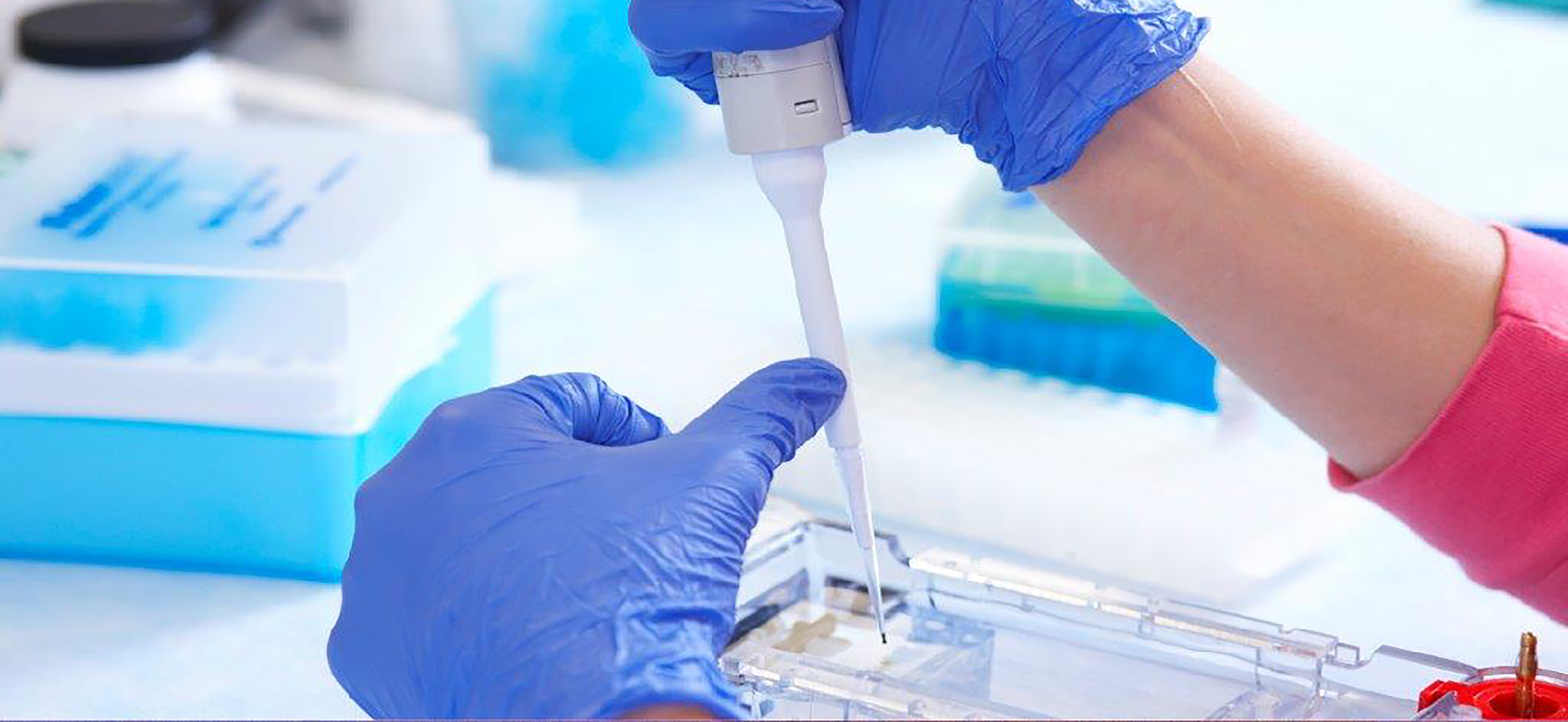 Food Science and Nutrition Department Food Science & Nutrition Cal